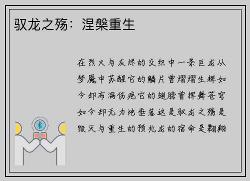 驭龙之殇：涅槃重生